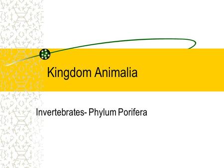 Invertebrates- Phylum Porifera