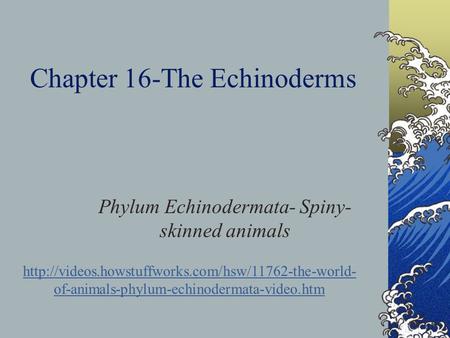 Chapter 16-The Echinoderms