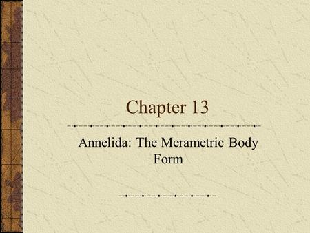 Annelida: The Merametric Body Form