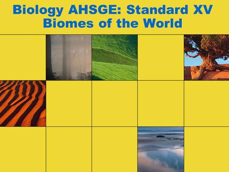 Biology AHSGE: Standard XV Biomes of the World