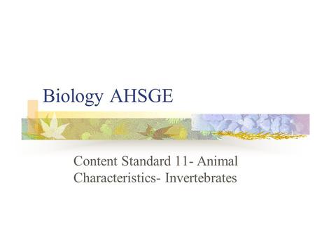 Content Standard 11- Animal Characteristics- Invertebrates
