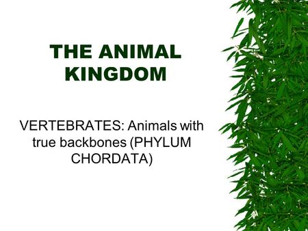 VERTEBRATES: Animals with true backbones (PHYLUM CHORDATA)