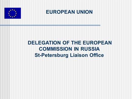 EUROPEAN UNION DELEGATION OF THE EUROPEAN COMMISSION IN RUSSIA St-Petersburg Liaison Office.