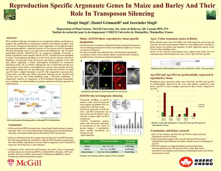 Reproduction Specific Argonaute Genes In Maize and Barley And Their Role In Transposon Silencing Manjit Singh 1, Daniel Grimanelli 2 and Jaswinder Singh.