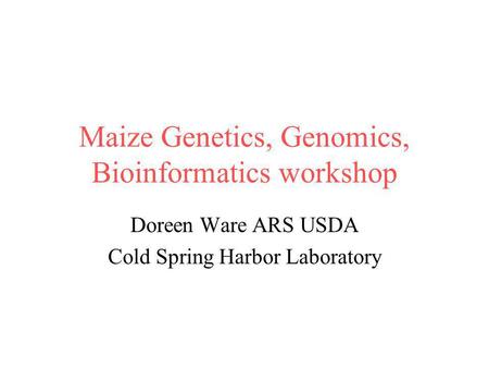 Maize Genetics, Genomics, Bioinformatics workshop