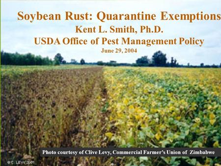 Photo courtesy of Clive Levy, Commercial Farmers Union of Zimbabwe Soybean Rust: Quarantine Exemptions Kent L. Smith, Ph.D. USDA Office of Pest Management.