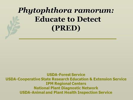 Phytophthora ramorum: Educate to Detect (PRED) USDA-Forest Service USDA-Cooperative State Research Education & Extension Service IPM Regional.