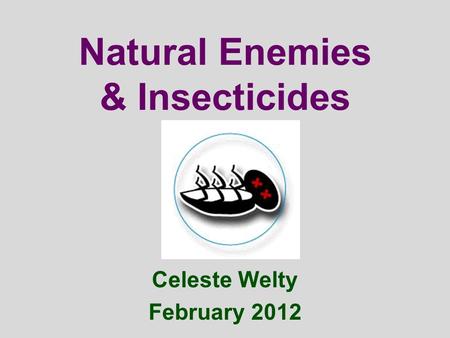 Natural Enemies & Insecticides Celeste Welty February 2012.