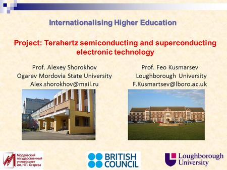 Internationalising Higher Education Prof. Alexey Shorokhov Ogarev Mordovia State University Project: Terahertz semiconducting and.