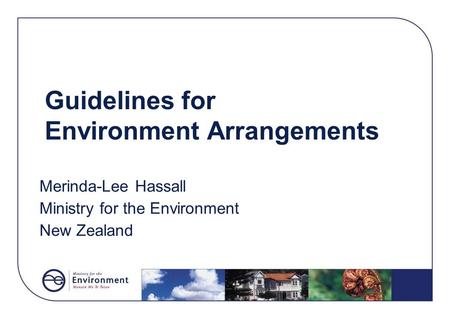 Guidelines for Environment Arrangements