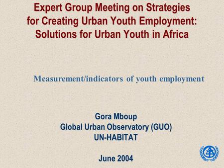 Expert Group Meeting on Strategies for Creating Urban Youth Employment: Solutions for Urban Youth in Africa Gora Mboup Global Urban Observatory (GUO) UN-HABITAT.