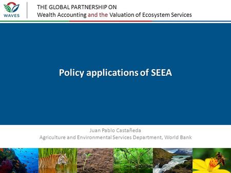 Policy applications of SEEA