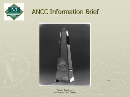 Nursing Excellence: Your Journey – Our Passion ANCC Information Brief.