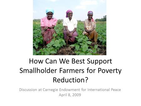 How Can We Best Support Smallholder Farmers for Poverty Reduction? Discussion at Carnegie Endowment for International Peace April 8, 2009.