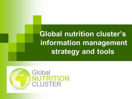 Global nutrition clusters information management strategy and tools.