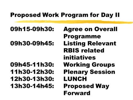 Proposed Work Program for Day II 09h15-09h30:Agree on Overall Programme 09h30-09h45:Listing Relevant RBIS related initiatives 09h45-11h30:Working Groups.