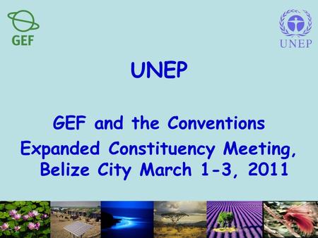 UNEP GEF and the Conventions Expanded Constituency Meeting, Belize City March 1-3, 2011.