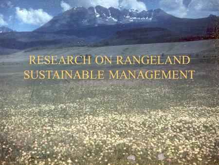 RESEARCH ON RANGELAND SUSTAINABLE MANAGEMENT. SUSTAINABLE RANGELAND MANAGEMENT Management of rangeland ecosystems to provide desired mixes of benefits.
