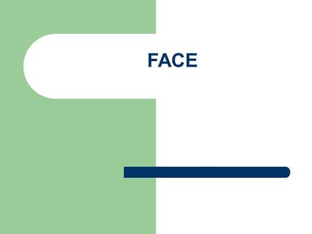 FACE. What were the challenges of the FACE ? 1. UN system has run out of three letter acronyms – 17,576 combinations 2. We needed a name which reflected.