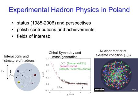 Experimental Hadron Physics in Poland