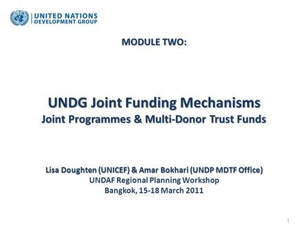 MODULE TWO: UNDG Joint Funding Mechanisms Joint Programmes & Multi-Donor Trust Funds Lisa Doughten (UNICEF) & Amar Bokhari (UNDP MDTF Office) MODULE TWO: