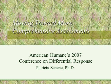Moving Toward More Comprehensive Assessments American Humanes 2007 Conference on Differential Response Patricia Schene, Ph.D.