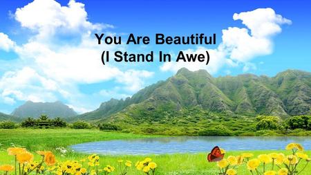 You Are Beautiful (I Stand In Awe)