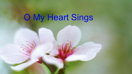 O My Heart Sings. O My Heart Sings – Verse So much to be thankful for, So much to be thankful for Where would I start, Many gifts to thank You for Many.