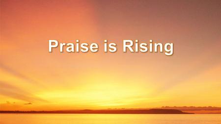 Praise is Rising.