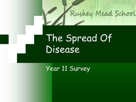 The Spread Of Disease Year 11 Survey. What we did… Hypothesis: To identify the spread of disease in a secondary school and to find whether transport,