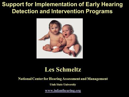 Support for Implementation of Early Hearing Detection and Intervention Programs Les Schmeltz National Center for Hearing Assessment and Management Utah.
