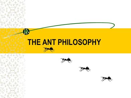 THE ANT PHILOSOPHY. 1 st PART PHILOSOPHY ANTS NEVER QUIT If theyre headed somewhere and you try to stop them, theyll look for another way. Theyll climb.