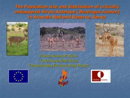 The Population size and distribution of critically endangered Hirola Antelope (Beatragus hunteri) in Arawale National Reserve, Kenya Francis Kamau Muthoni.