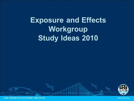 Exposure and Effects Workgroup Study Ideas 2010. Five-Year Plan: Risk to Birds Is there clear evidence of pollutant effects on survival, reproduction,