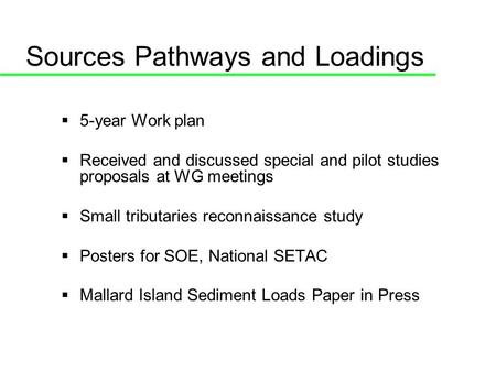 Sources Pathways and Loadings 5-year Work plan Received and discussed special and pilot studies proposals at WG meetings Small tributaries reconnaissance.