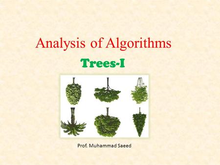 Trees-I Prof. Muhammad Saeed Analysis of Algorithms.