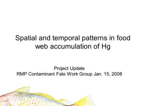 Spatial and temporal patterns in food web accumulation of Hg Project Update RMP Contaminant Fate Work Group Jan. 15, 2008.