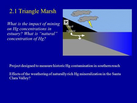 2.1 Triangle Marsh What is the impact of mining on Hg concentrations in estuary? What is natural concentration of Hg? Hg-P Hg- DOC Project designed to.