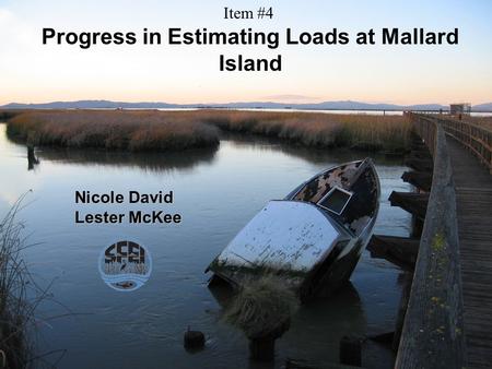 Progress in Estimating Loads at Mallard Island Nicole David Lester McKee Item #4.