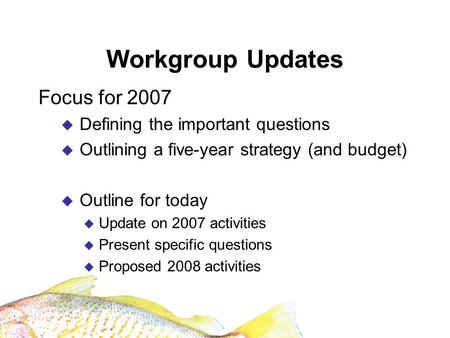 Workgroup Updates Focus for 2007 Defining the important questions Outlining a five-year strategy (and budget) Outline for today Update on 2007 activities.