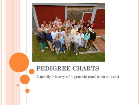 A family history of a genetic condition or trait