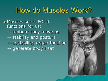 How do Muscles Work? Muscles serve FOUR functions for us: