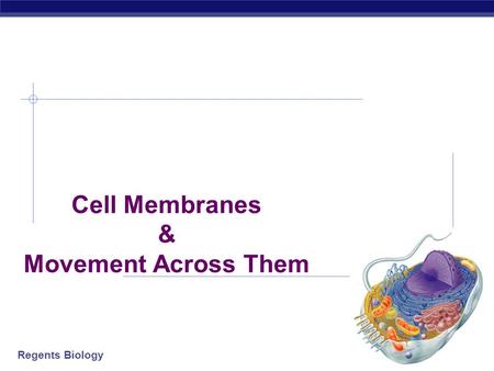 Cell Membranes & Movement Across Them