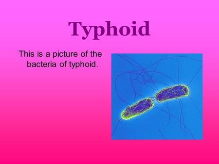 Typhoid This is a picture of the bacteria of typhoid.