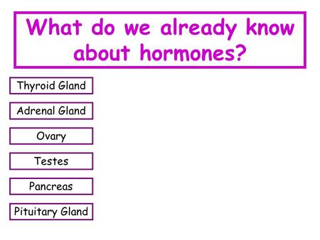 What do we already know about hormones? Thyroid Gland Adrenal Gland Ovary Testes Pancreas Pituitary Gland.