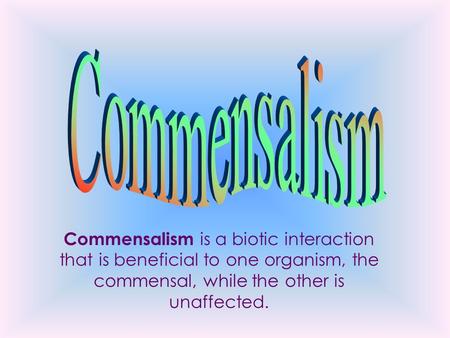 Commensalism is a biotic interaction that is beneficial to one organism, the commensal, while the other is unaffected.