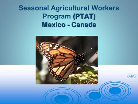 (PTAT) Mexico - Canada Seasonal Agricultural Workers Program (PTAT) Mexico - Canada.