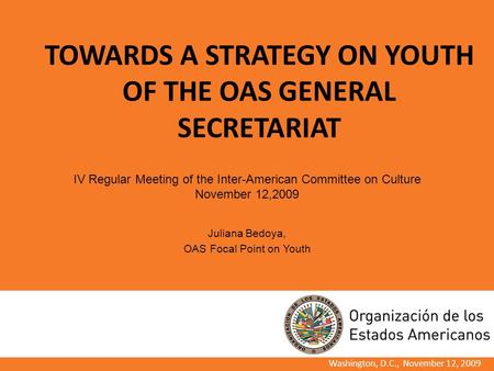 TOWARDS A STRATEGY ON YOUTH OF THE OAS GENERAL SECRETARIAT Washington, D.C., November 12, 2009 IV Regular Meeting of the Inter-American Committee on Culture.