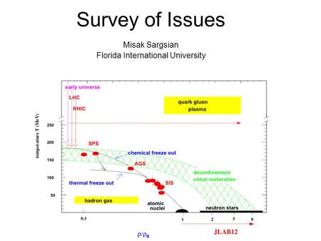 Survey of Issues Misak Sargsian Florida International University.