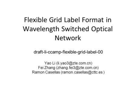Flexible Grid Label Format in Wavelength Switched Optical Network